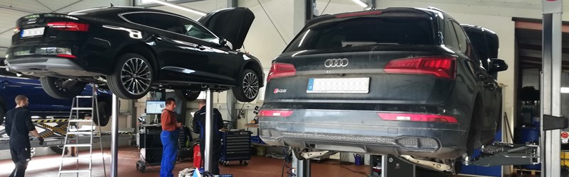 Herstellerdiagnose für Ihre Zukunft